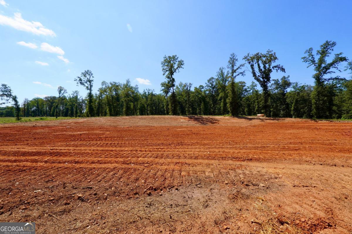 0 Walters Road, Unit TRACT 2 Barnesville, GA 30204 - Photo 4 of 6