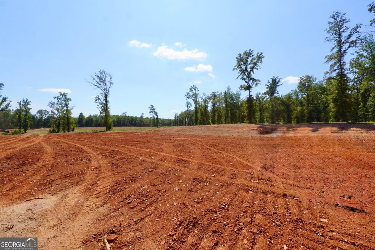 0 Walters Road, Unit TRACT 2 Barnesville, GA 30204 - Photo 5 of 6