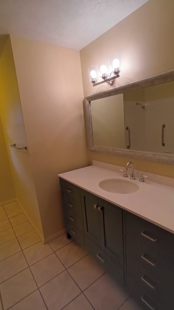 1633 Erin Drive Normal, IL 61761 - Photo 16 of 46 a bathroom with a sink and a mirror