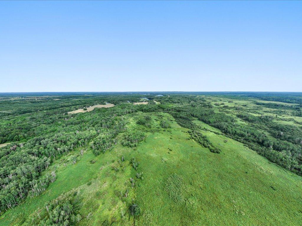 Tbd Azalea Road Motley, MN 56466 - Photo 26 of 39 Gallery Image 26