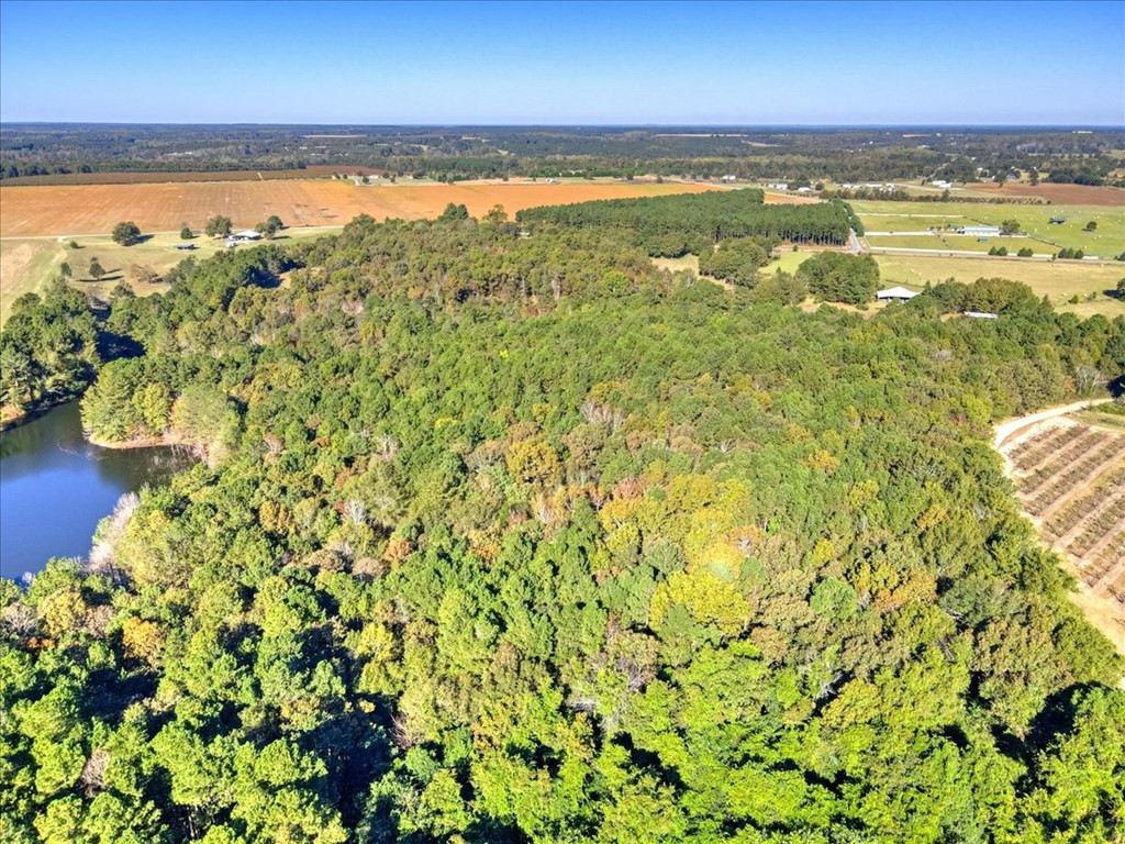 0 Broomstraw Road Johnston, SC 29832 - Photo 10 of 22