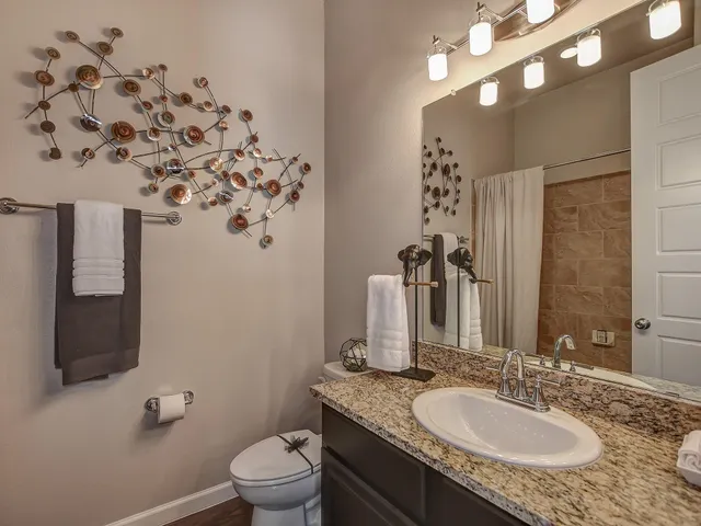 $2,648 | 2443 Farm To Market Road 1488, Unit 4000, Conroe, TX 77384