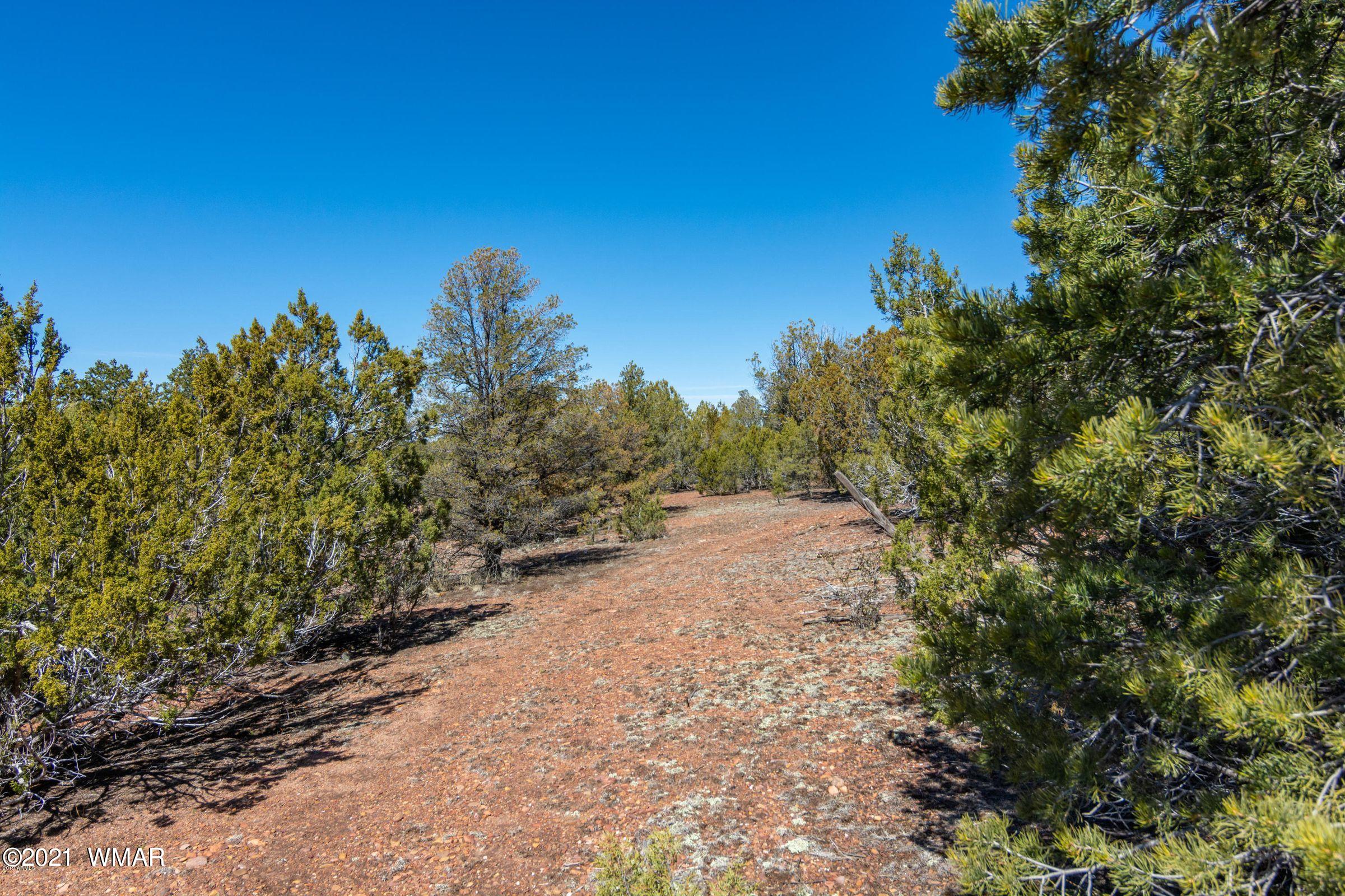 -xx Xx Woolford (approx) Rd Roads Show Low, AZ 85901 - Photo 11 of 15
