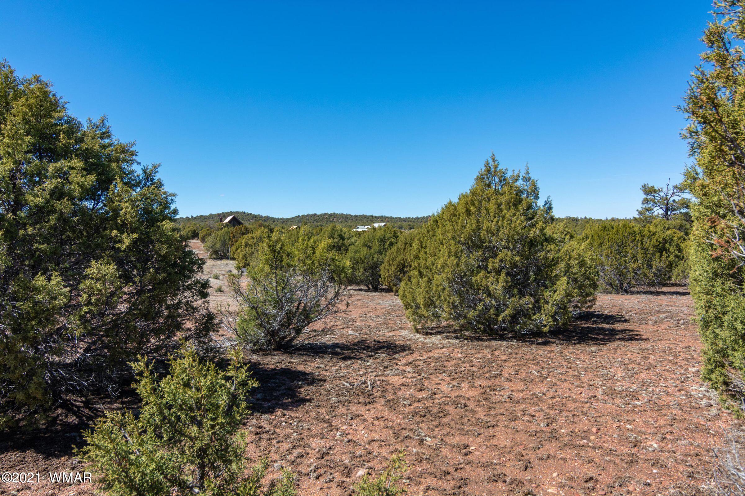 -xx Xx Woolford (approx) Rd Roads Show Low, AZ 85901 - Photo 12 of 15