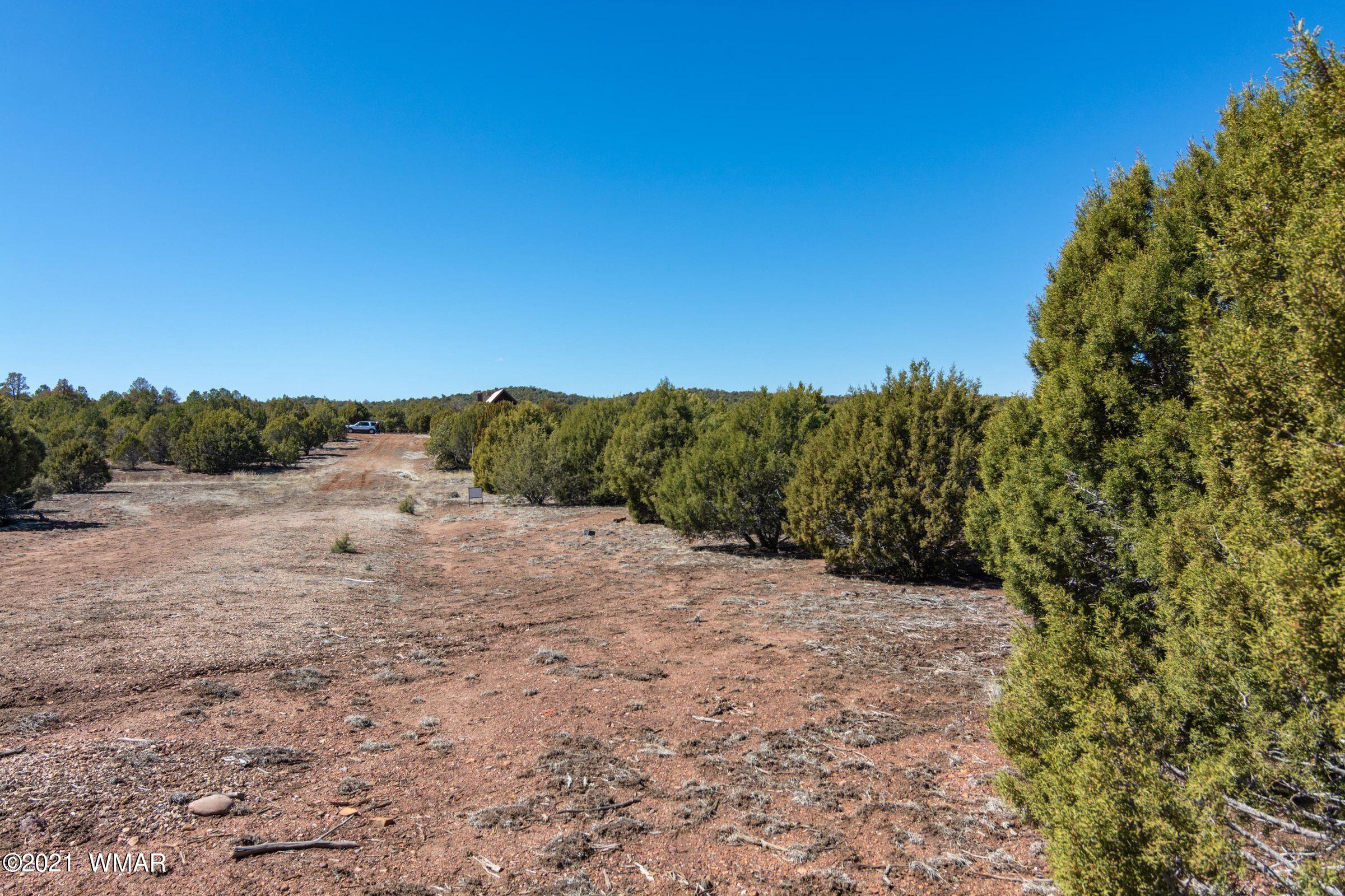 -xx Xx Woolford (approx) Rd Roads Show Low, AZ 85901 - Photo 13 of 15