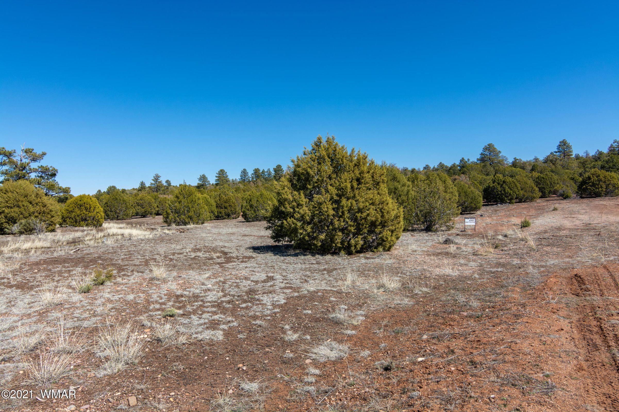 -xx Xx Woolford (approx) Rd Roads Show Low, AZ 85901 - Photo 14 of 15