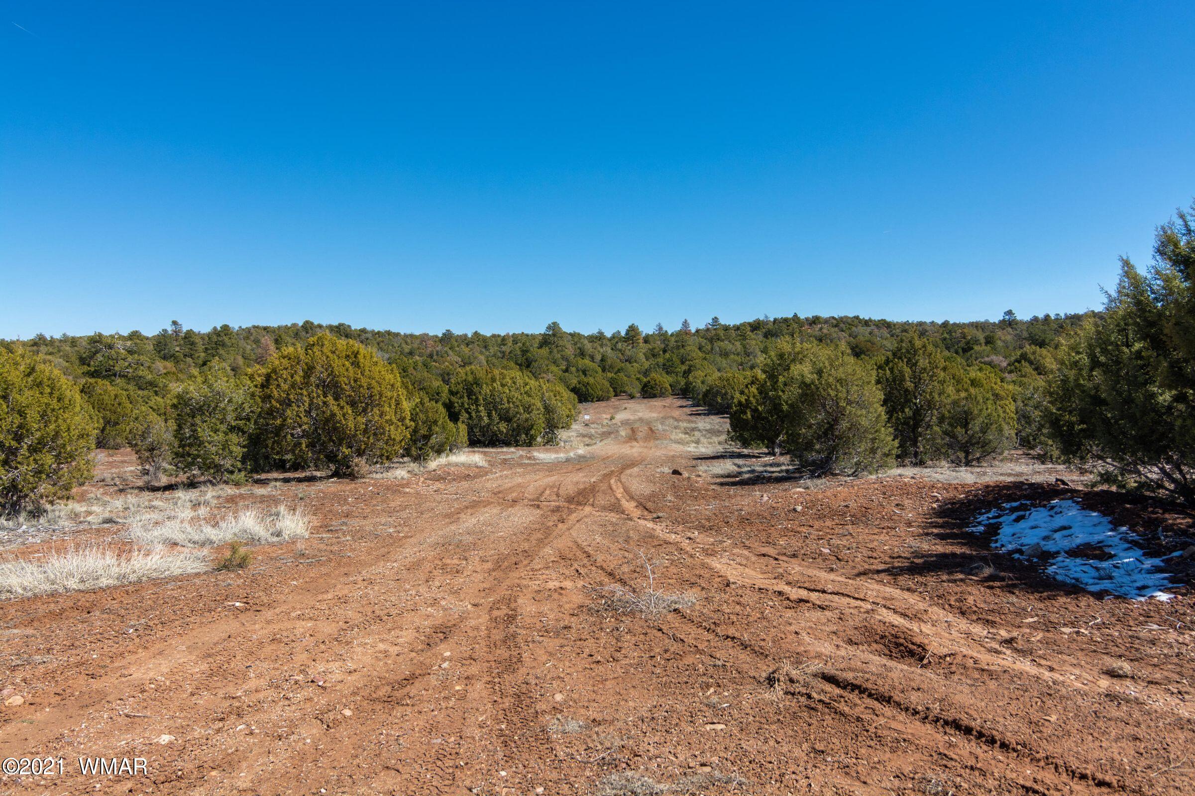 -xx Xx Woolford (approx) Rd Roads Show Low, AZ 85901 - Photo 3 of 15