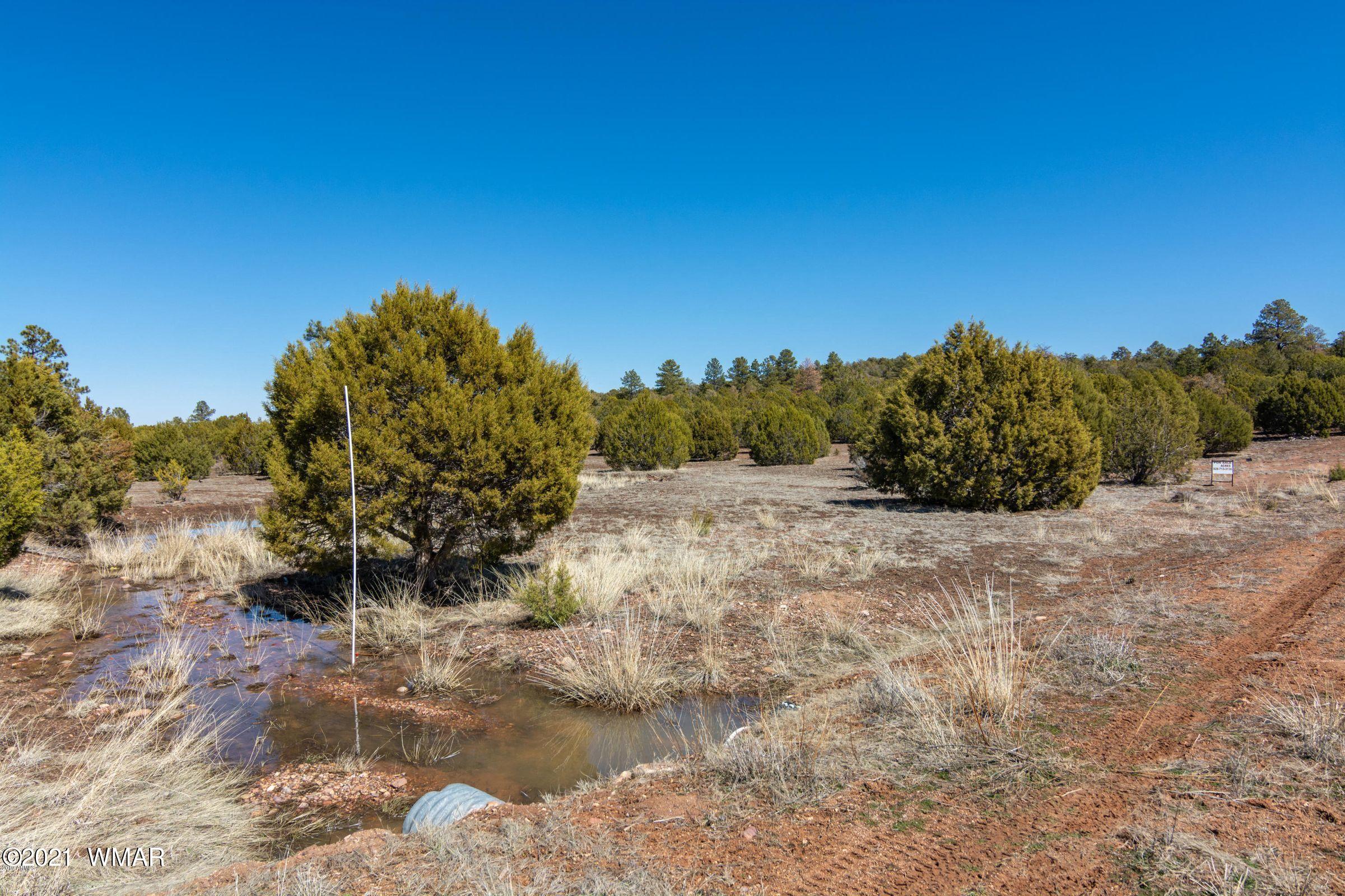 -xx Xx Woolford (approx) Rd Roads Show Low, AZ 85901 - Photo 4 of 15