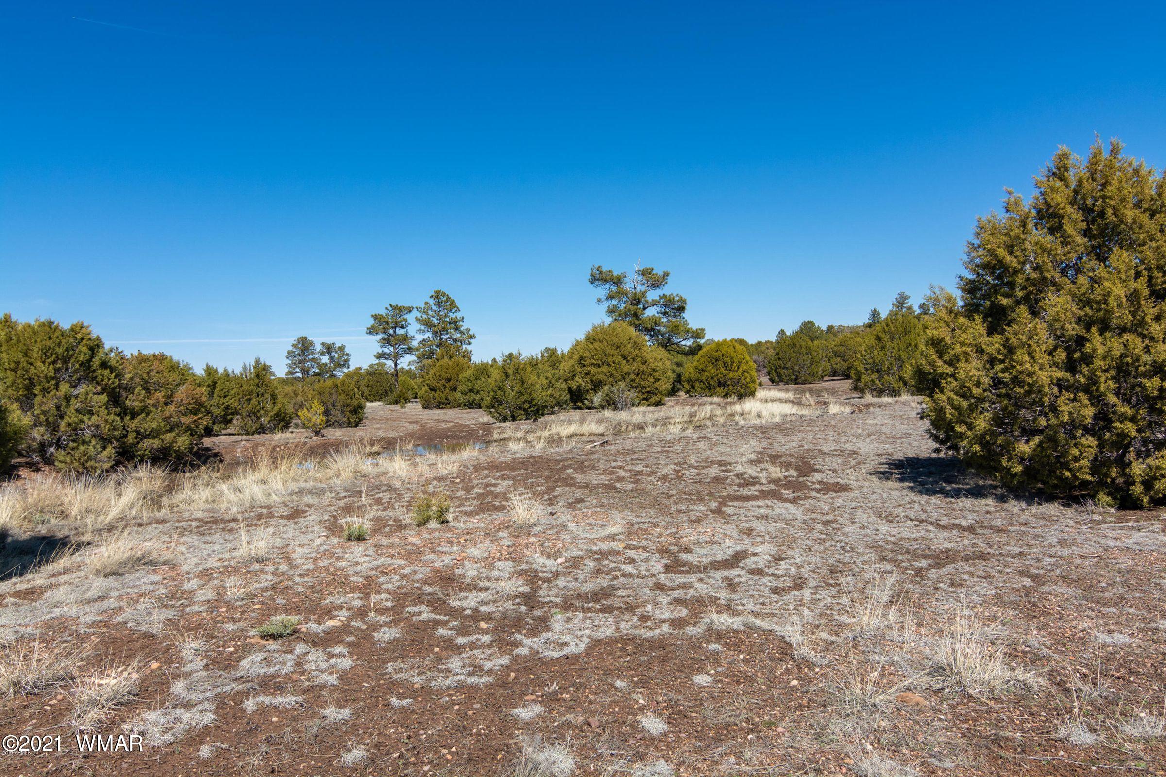 -xx Xx Woolford (approx) Rd Roads Show Low, AZ 85901 - Photo 5 of 15