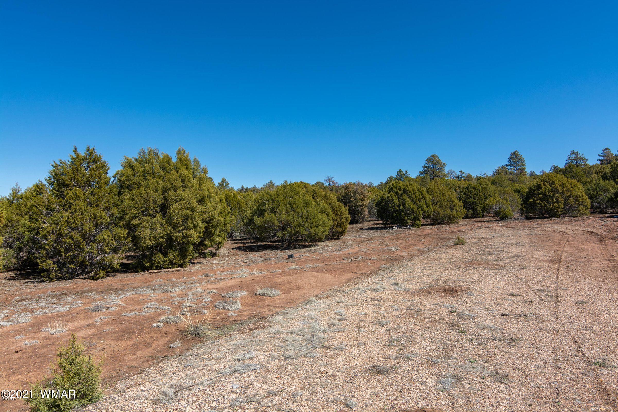 -xx Xx Woolford (approx) Rd Roads Show Low, AZ 85901 - Photo 6 of 15