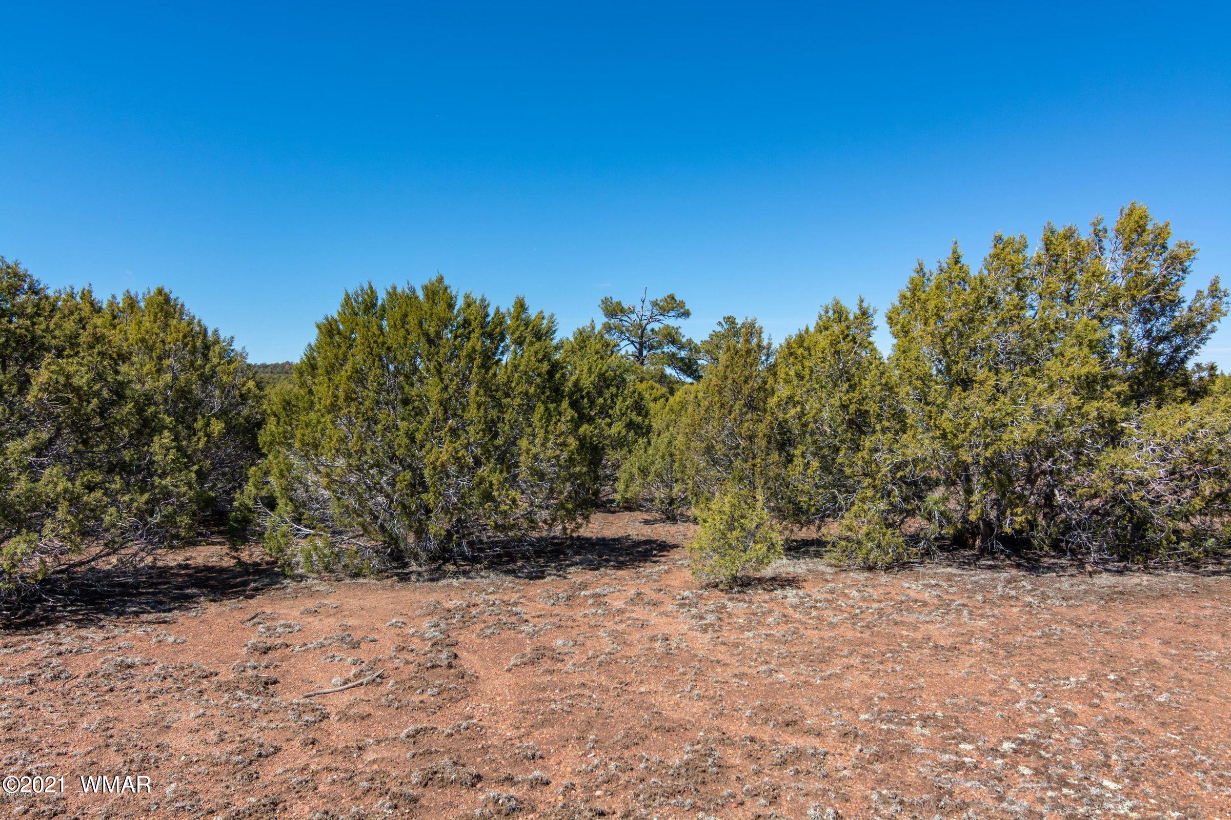 -xx Xx Woolford (approx) Rd Roads Show Low, AZ 85901 - Photo 7 of 15
