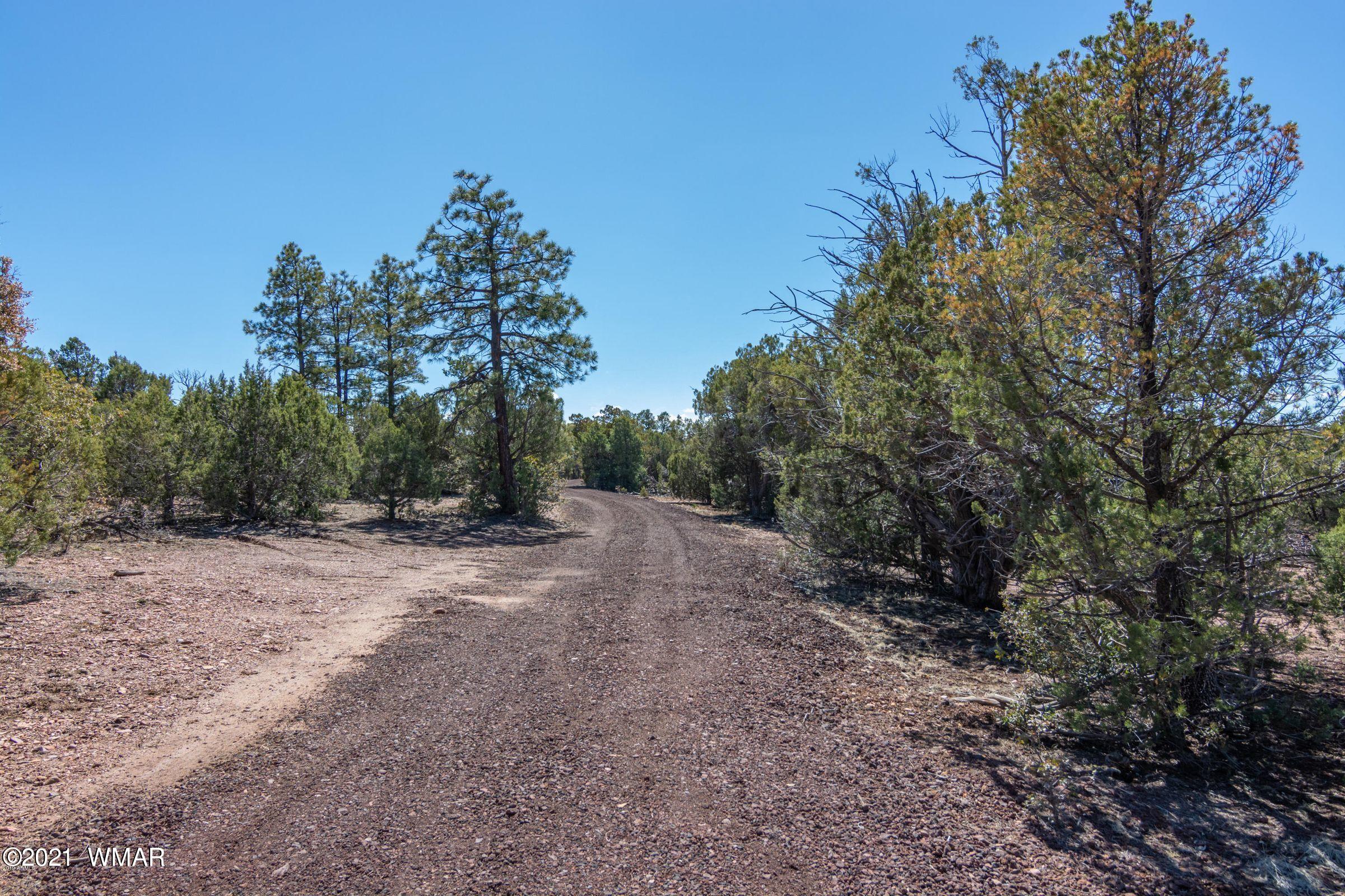 -xx Xx Woolford (approx) Rd Roads Show Low, AZ 85901 - Photo 8 of 15