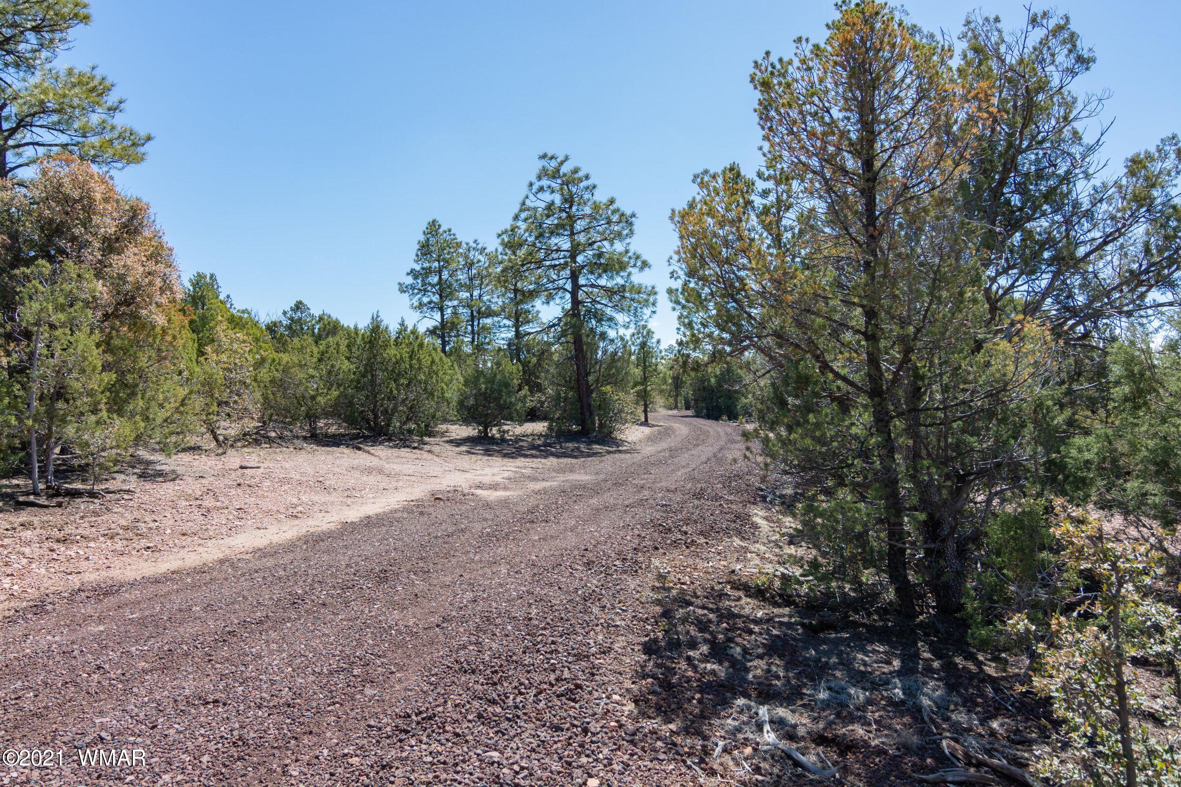 -xx Xx Woolford (approx) Rd Roads Show Low, AZ 85901 - Photo 10 of 15
