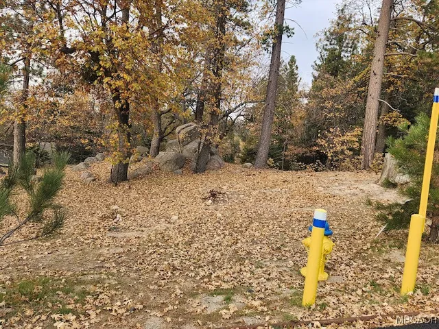 a view of yard covered with snow