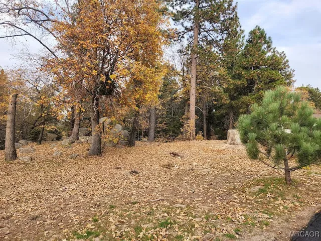 a view of a yard covered in snow