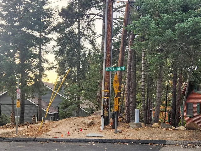 a view of a park that has large trees