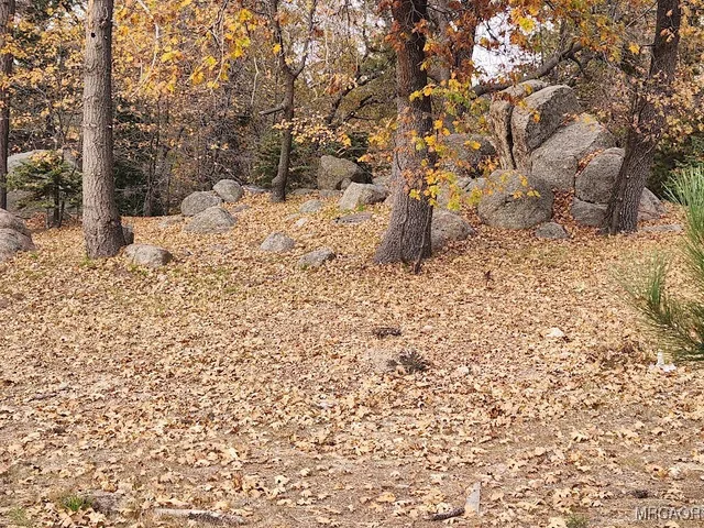a view of covered with snow