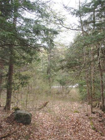 0 Town Hill Road Chester, MA 01011 - Photo 5 of 9 Gallery Image 5