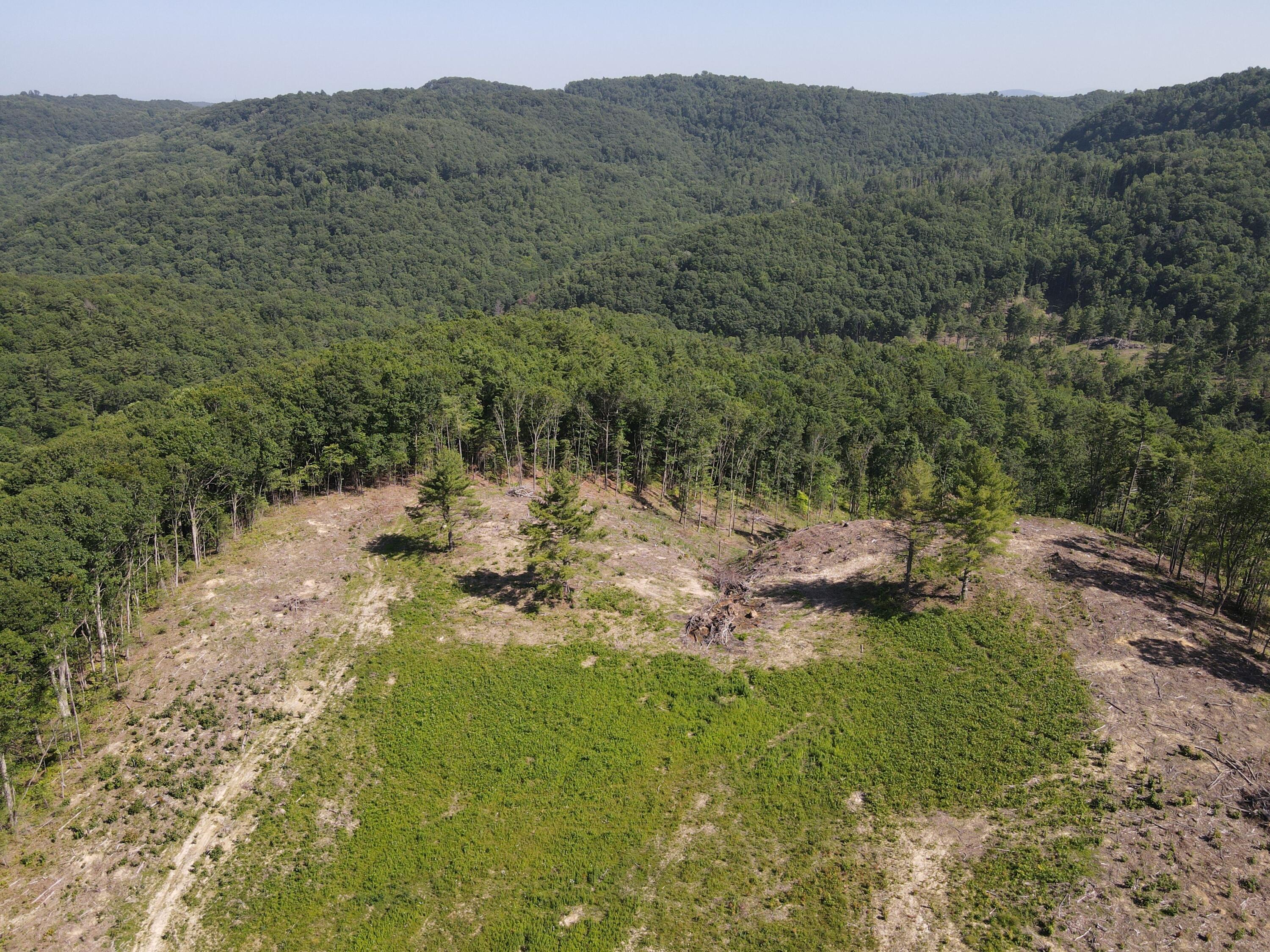 Suck Creek Road Jumping Branch, WV 25969 - Photo 15 of 52 Gallery Image 15