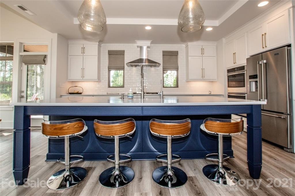 175 Webbed Foot Road Mooresville, NC 28117 - Photo 2 of 47 Gallery Image 2