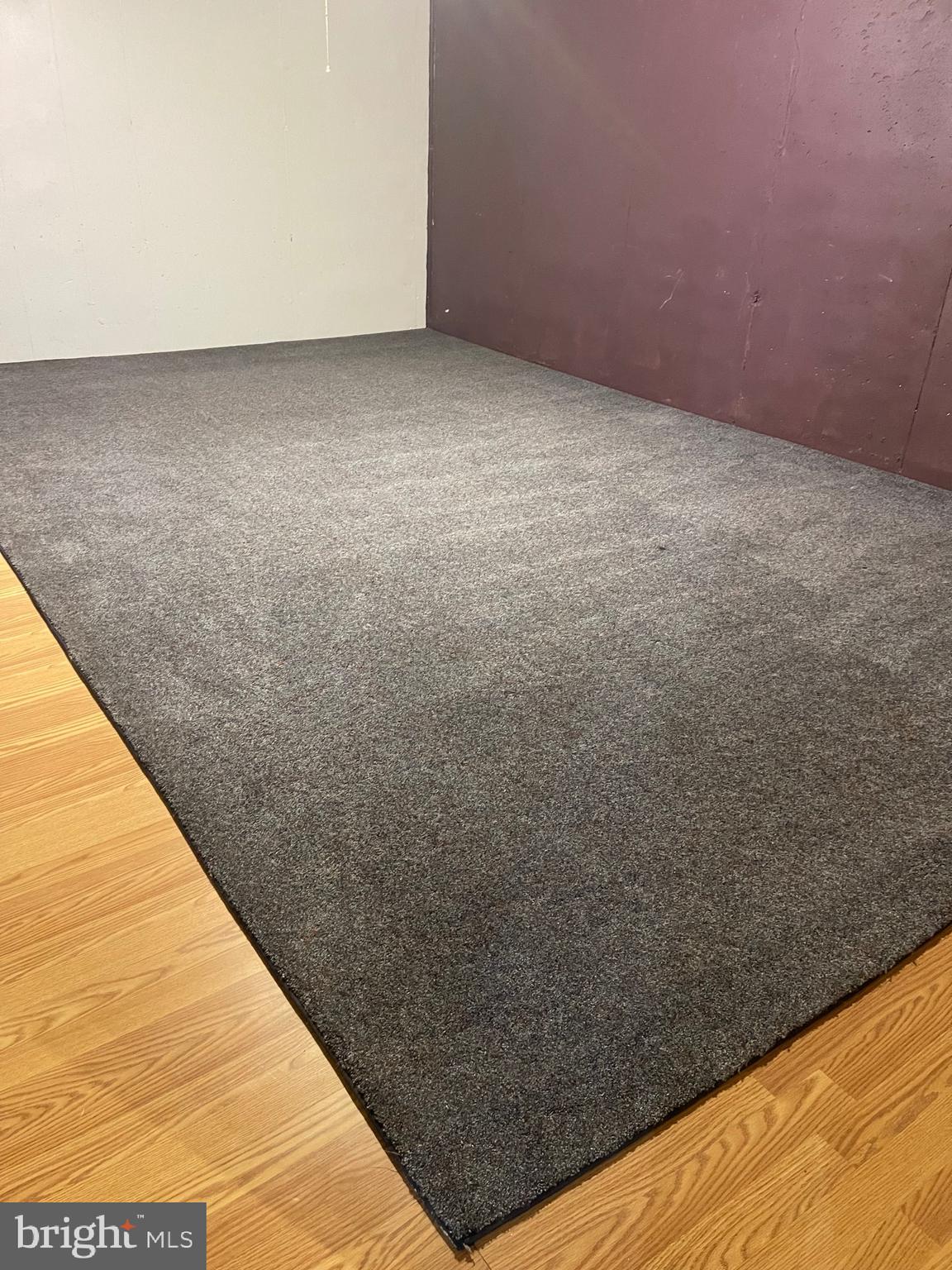 732 Pinewood Drive Middletown, DE 19709 - Photo 33 of 40 Partial Finished Rm in Basement