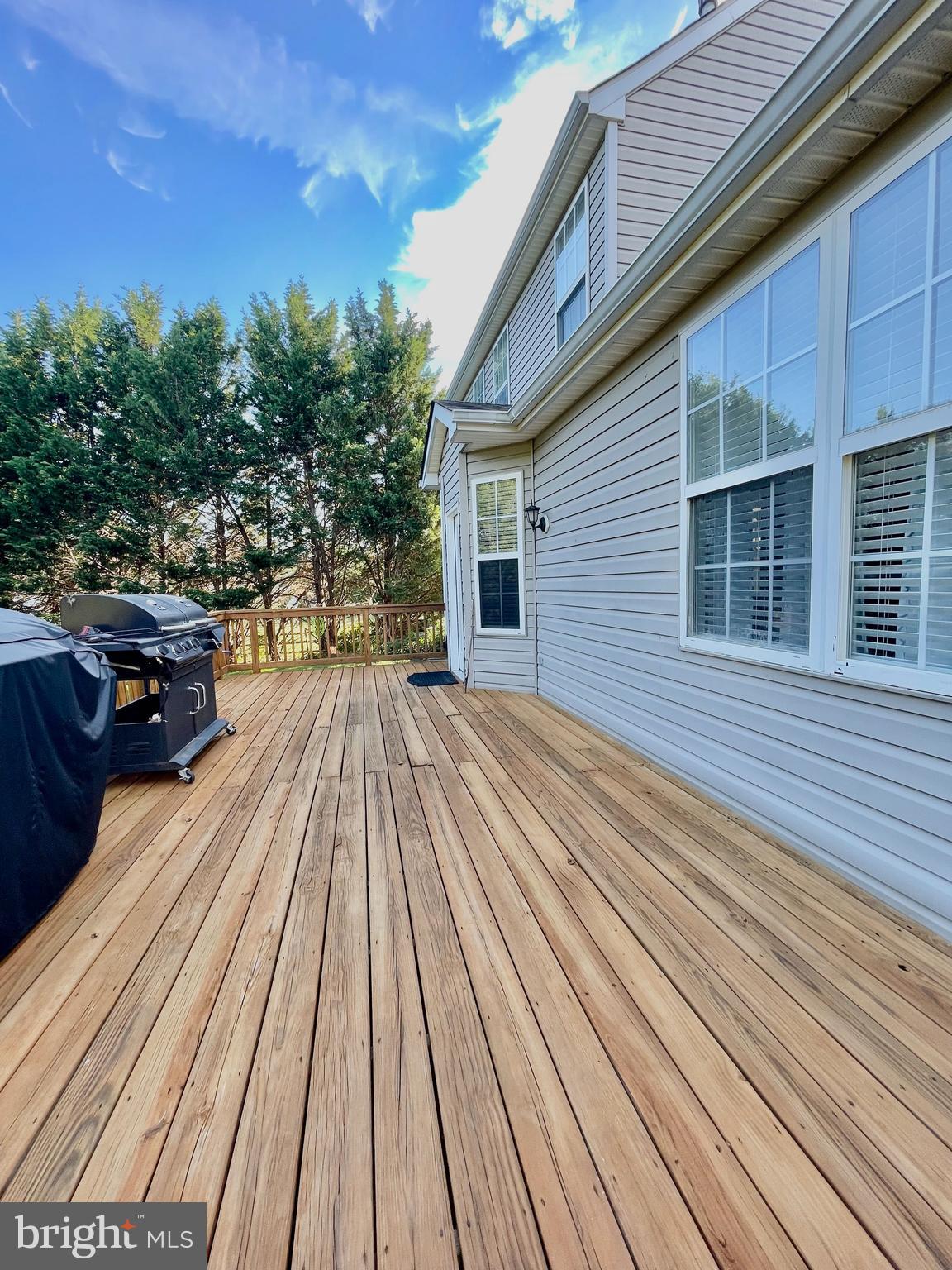 732 Pinewood Drive Middletown, DE 19709 - Photo 36 of 40 Huge Deck