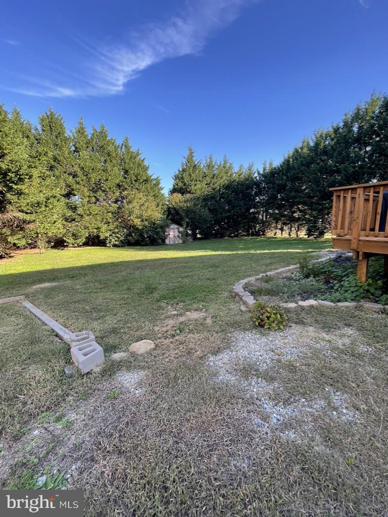 732 Pinewood Drive Middletown, DE 19709 - Photo 37 of 40 Private/ Spacious Backyard
