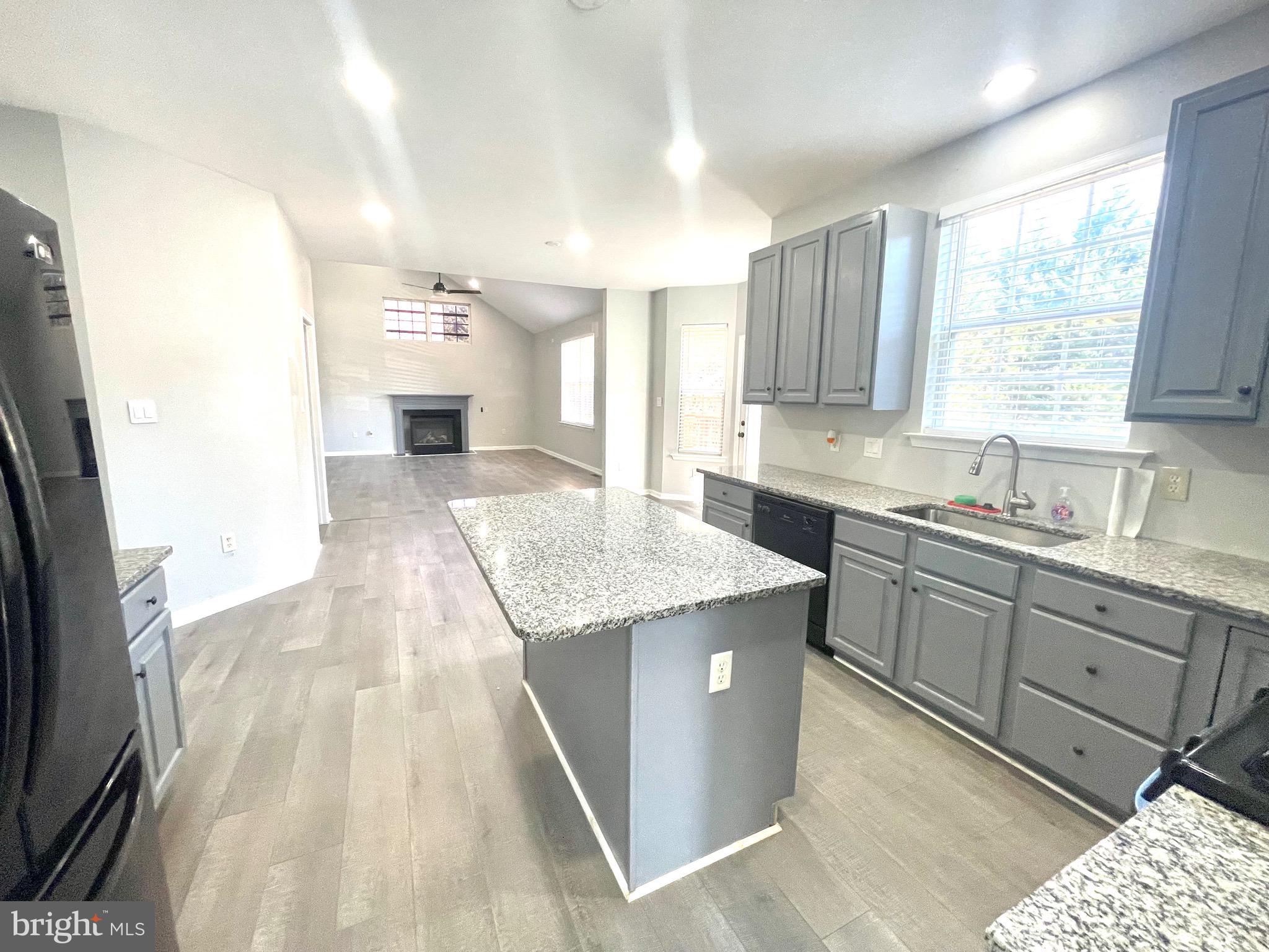 732 Pinewood Drive Middletown, DE 19709 - Photo 8 of 40 Granite Countertops