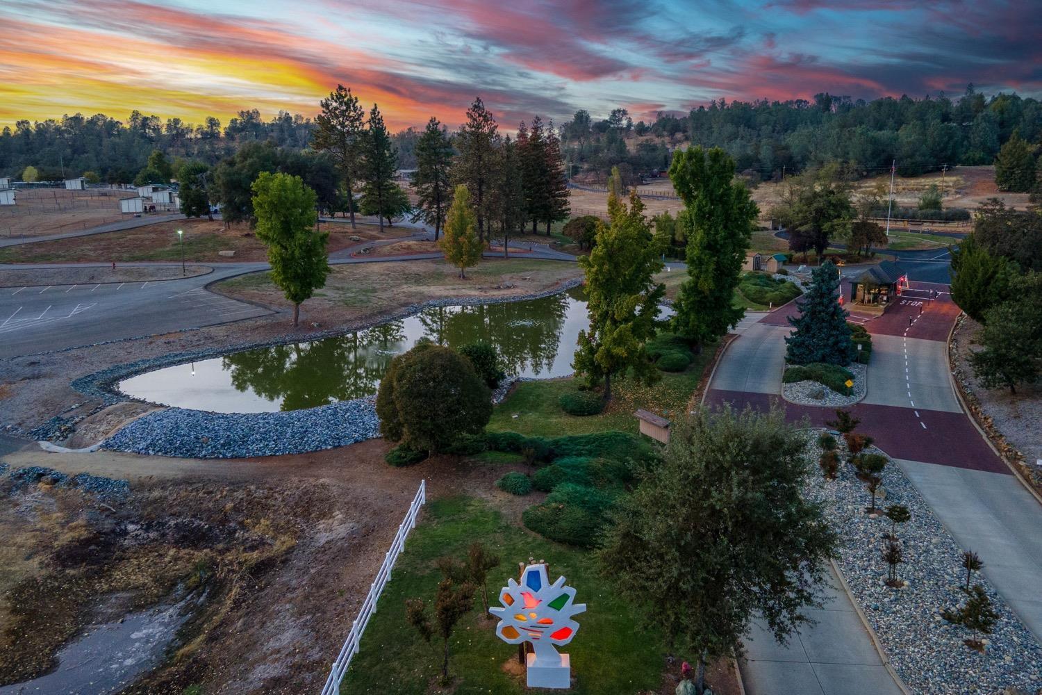 2071 Bogus Point Court Cool, CA 95614 - Photo 60 of 69 a view of a garden with an outdoor space