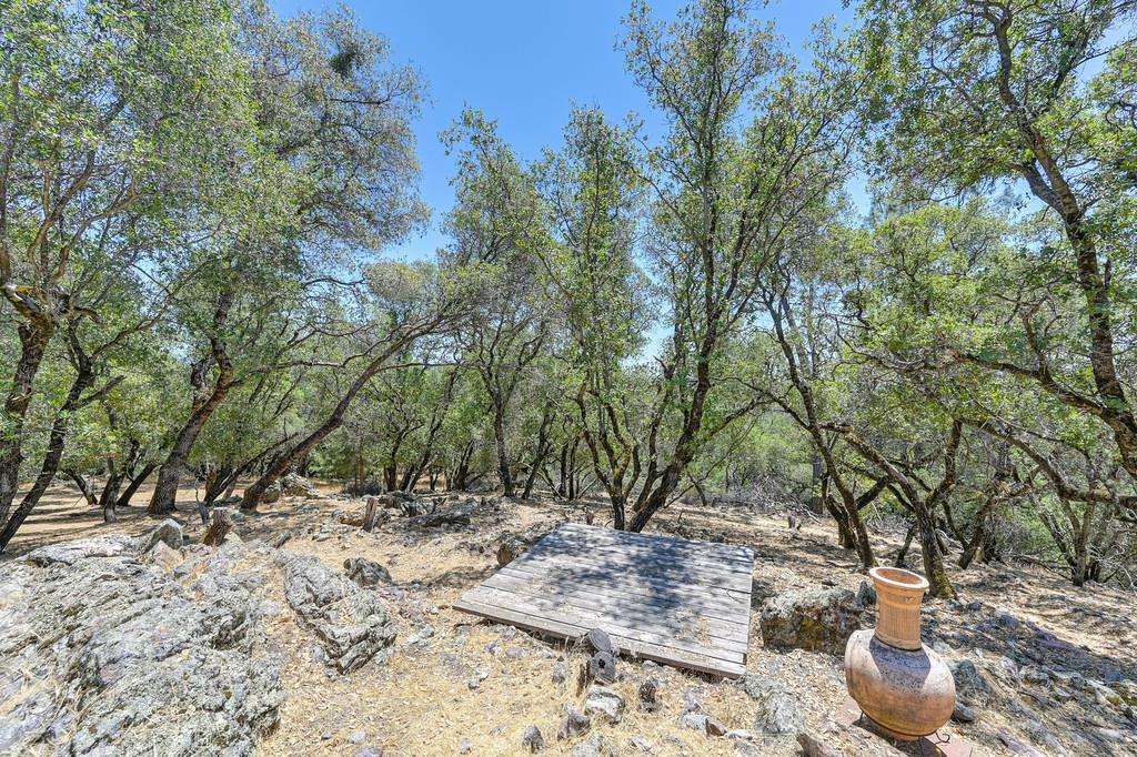 2071 Bogus Point Court Cool, CA 95614 - Photo 10 of 69 a view of outdoor space and yard