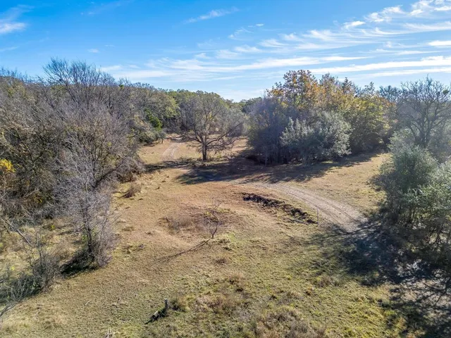 a view of a yard with trees in the background