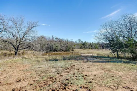 a view of dirt field with trees