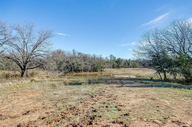 a view of dirt field with trees