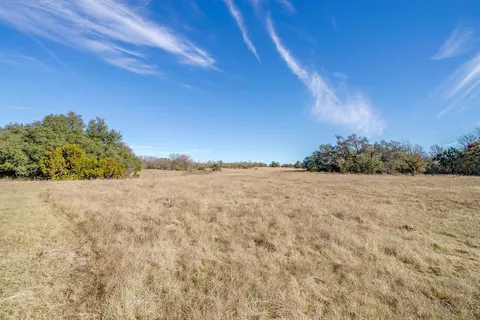 a view of a dry yard