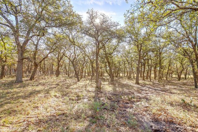 a view of yard with trees