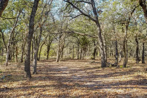 a view of outdoor space with trees