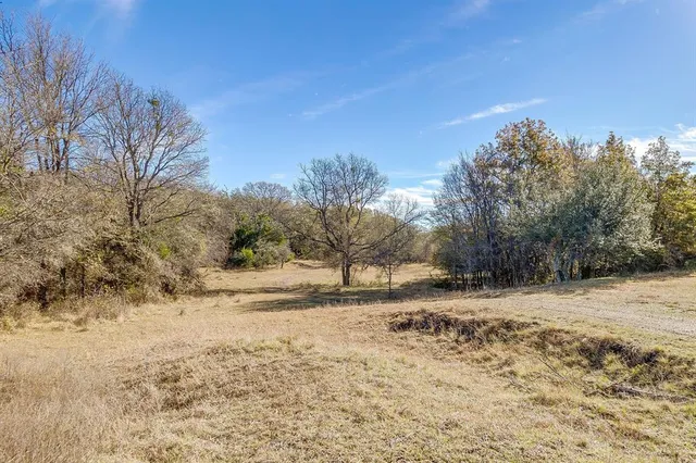 a view of dirt yard with a tree