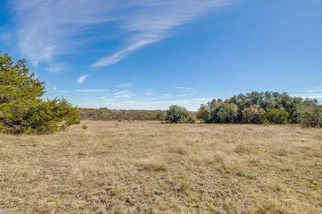 a backyard of a house with lots of trees
