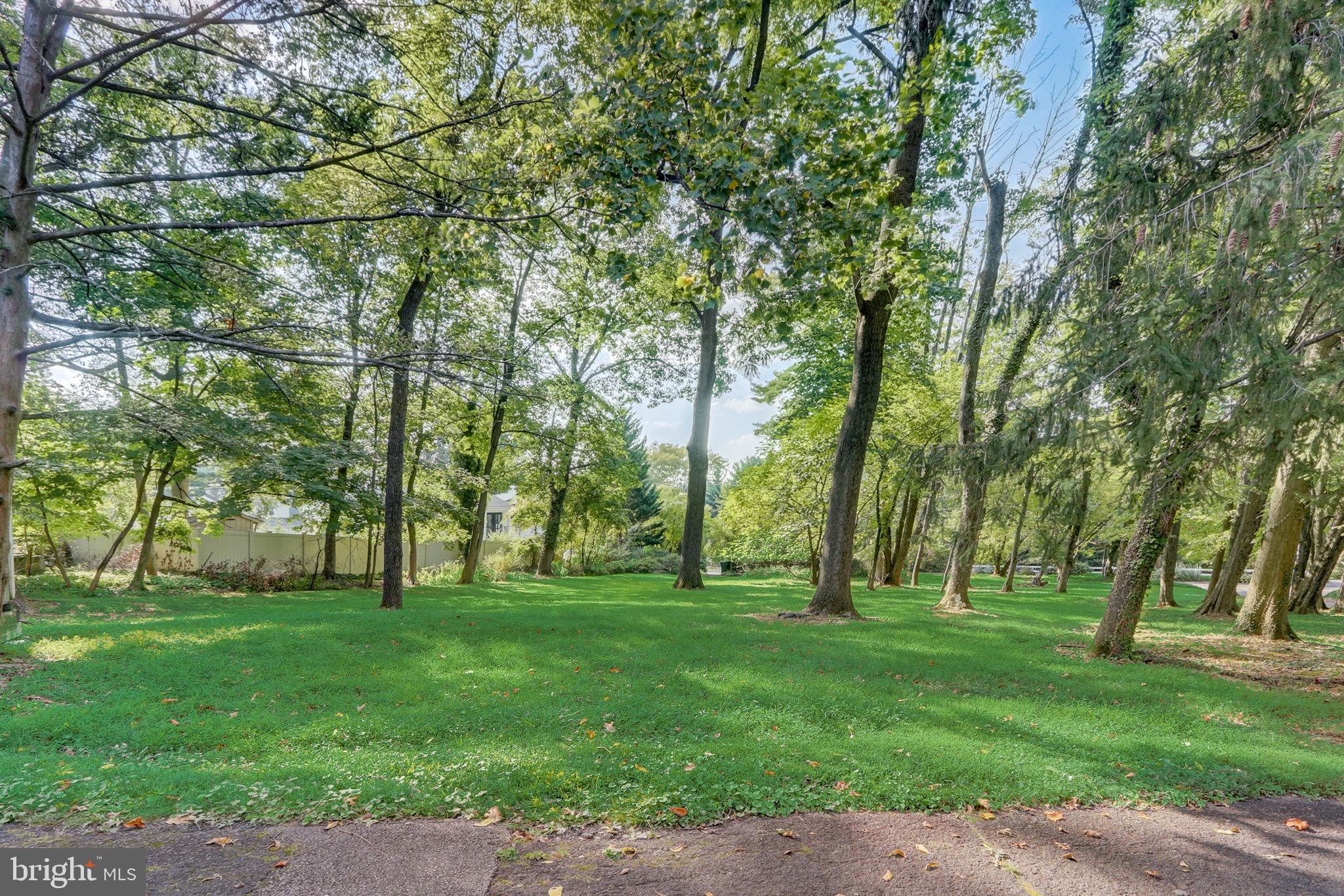 931 Rydal Road Jenkintown, PA 19046 - Photo 60 of 64 Grassy Front Yard