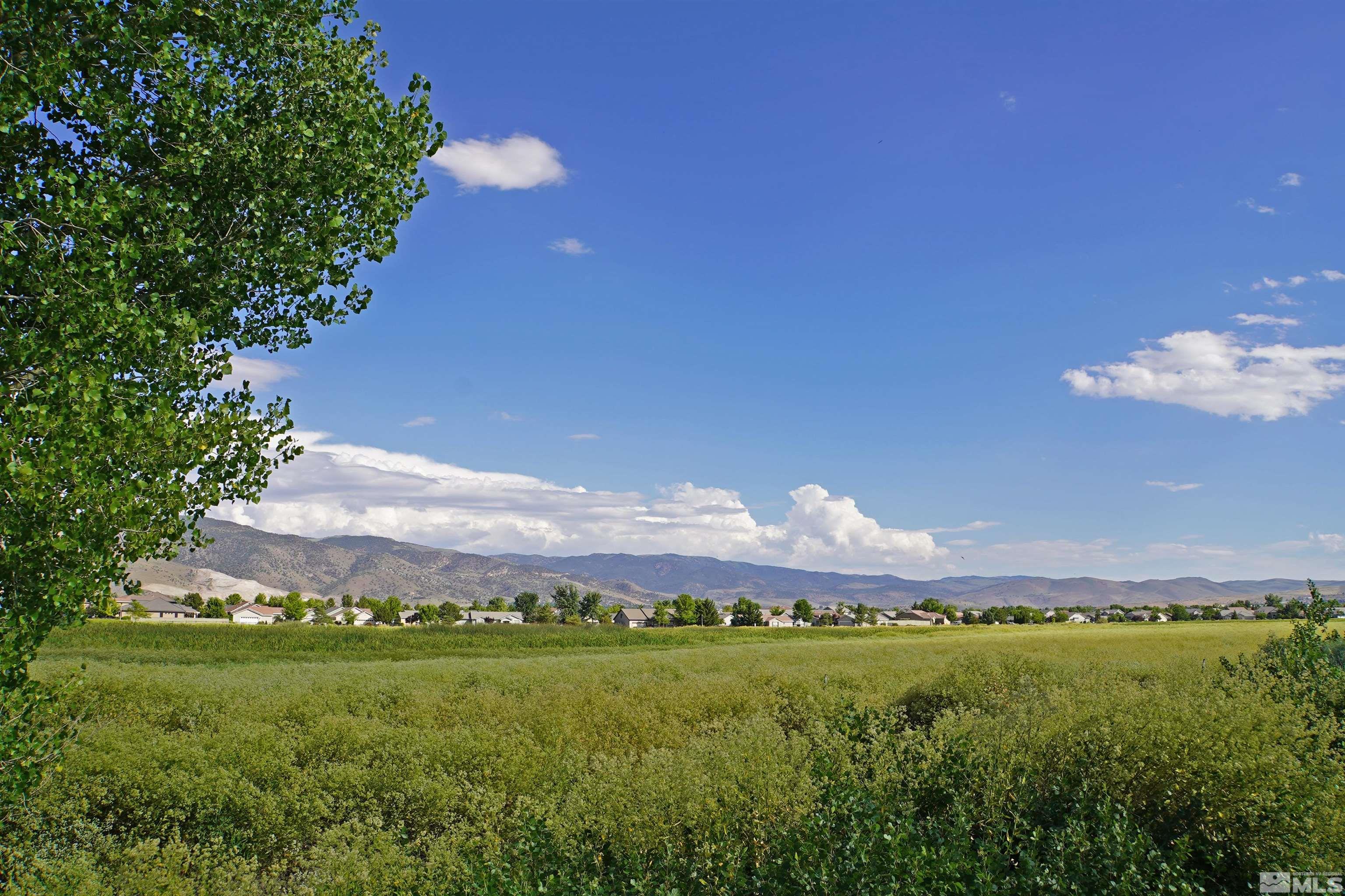 1121 Scenic Park Terrace Reno, NV 89521 - Photo 21 of 32 Photo 21