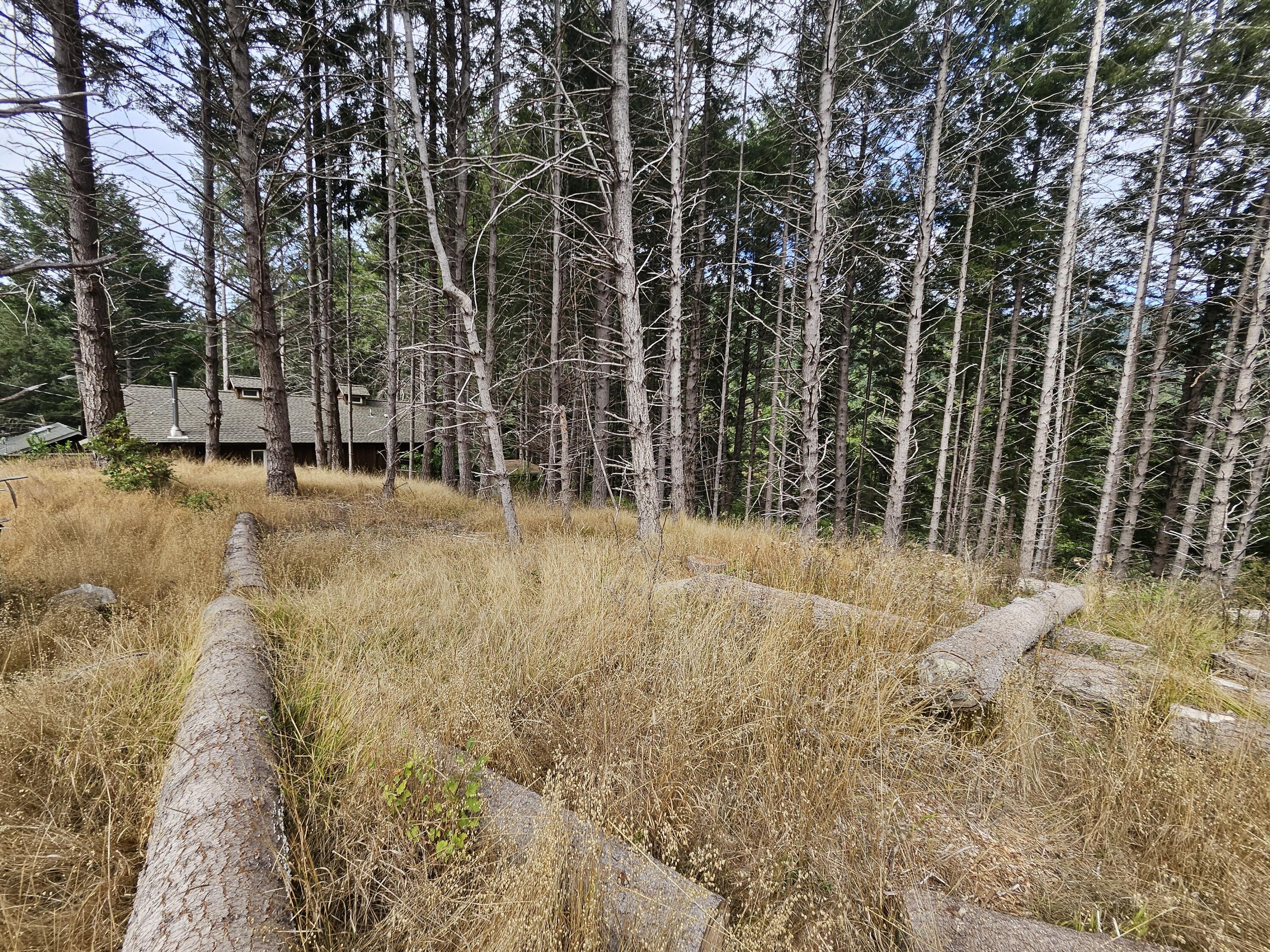 341 Ridge Road Shelter Cove, CA 95589 - Photo 2 of 9 20250928_152236