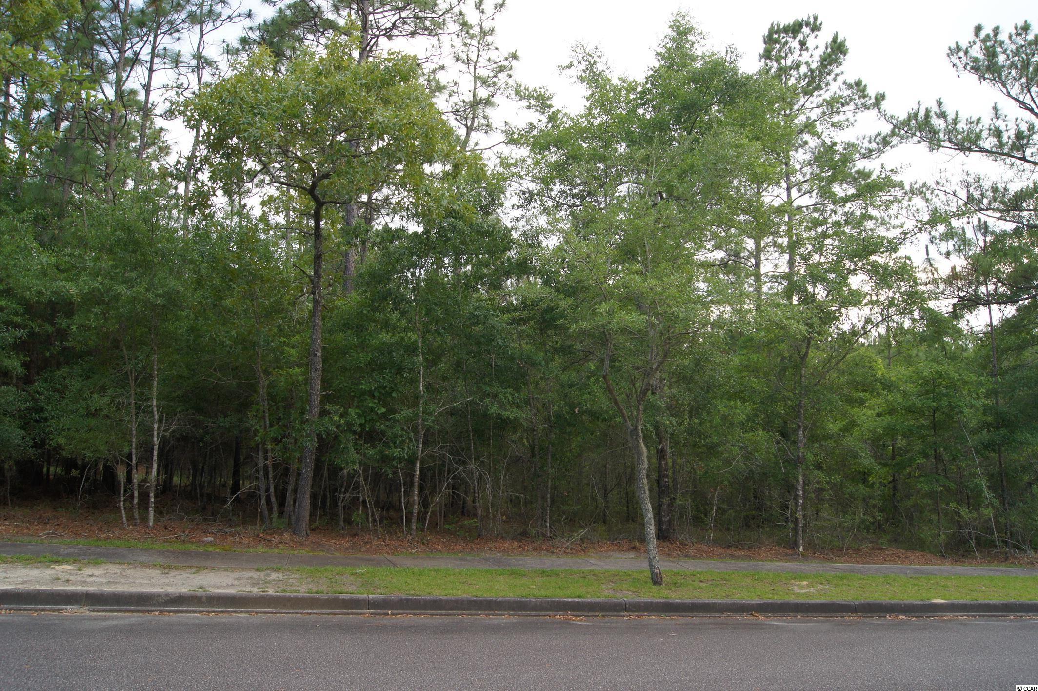 53 Madison Drive Georgetown, SC 29440 - Photo 1 of 25 Gallery Image 1