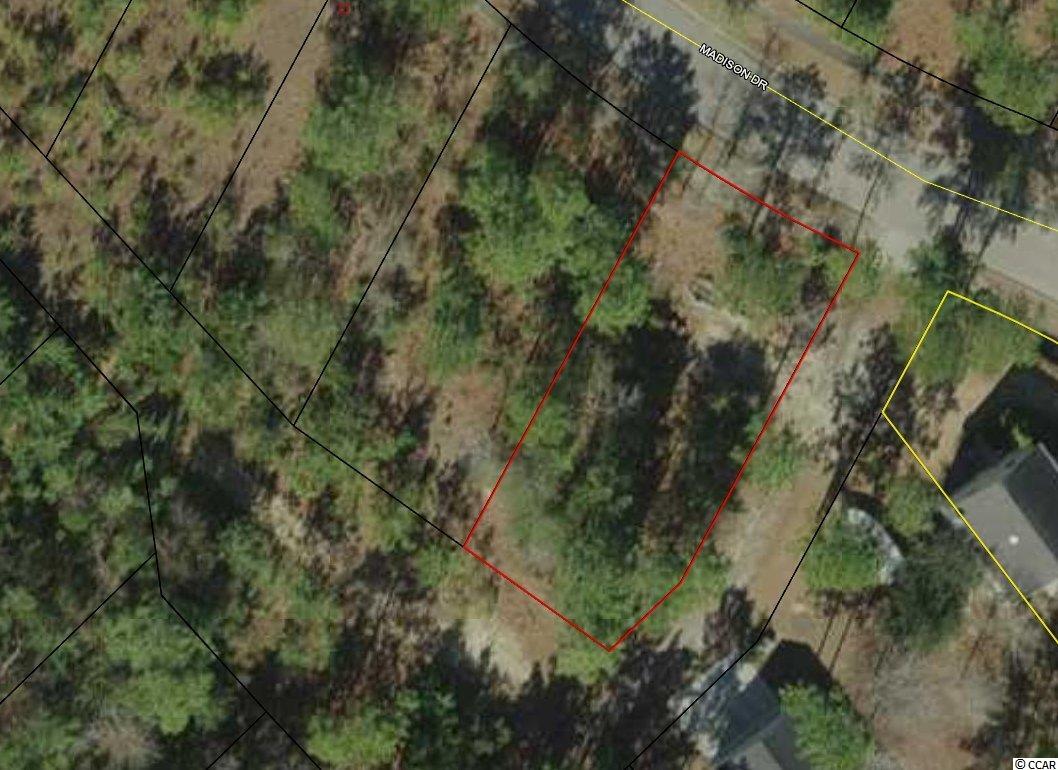 53 Madison Drive Georgetown, SC 29440 - Photo 2 of 25 Gallery Image 2