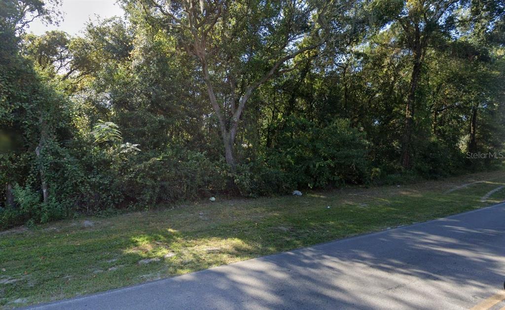Lime Street New Port Richey, FL 34654 - Photo 1 of 1 a view of a lake with a yard