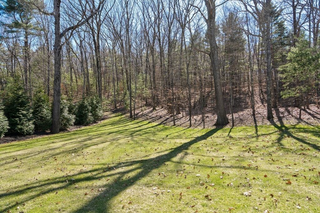 196 Pond Road Wellesley, MA 02482 - Photo 19 of 20 a view of swimming pool