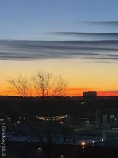 a view of city and mountain