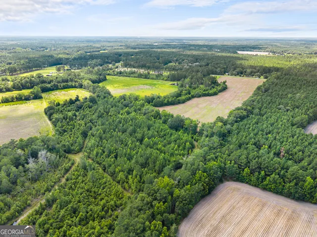 a view of an ocean and beach
