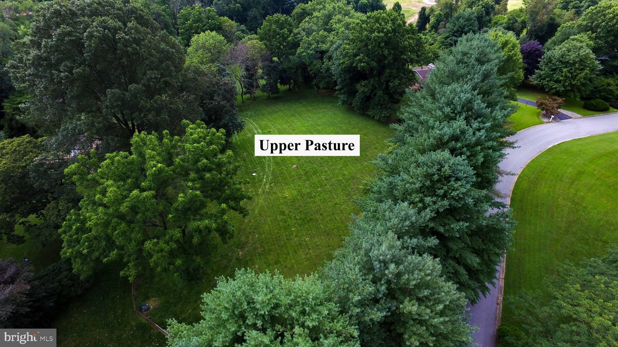 363 Valleybrook Road Glen Mills, PA 19342 - Photo 109 of 110 Upper Pasture with
Special Grass