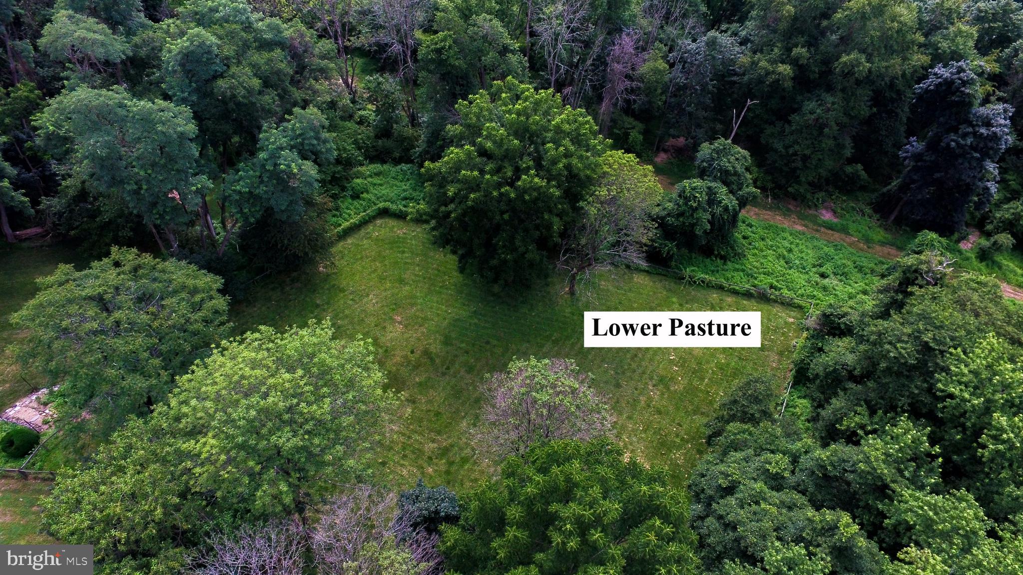 363 Valleybrook Road Glen Mills, PA 19342 - Photo 110 of 110 Lower Pasture with Special Grass