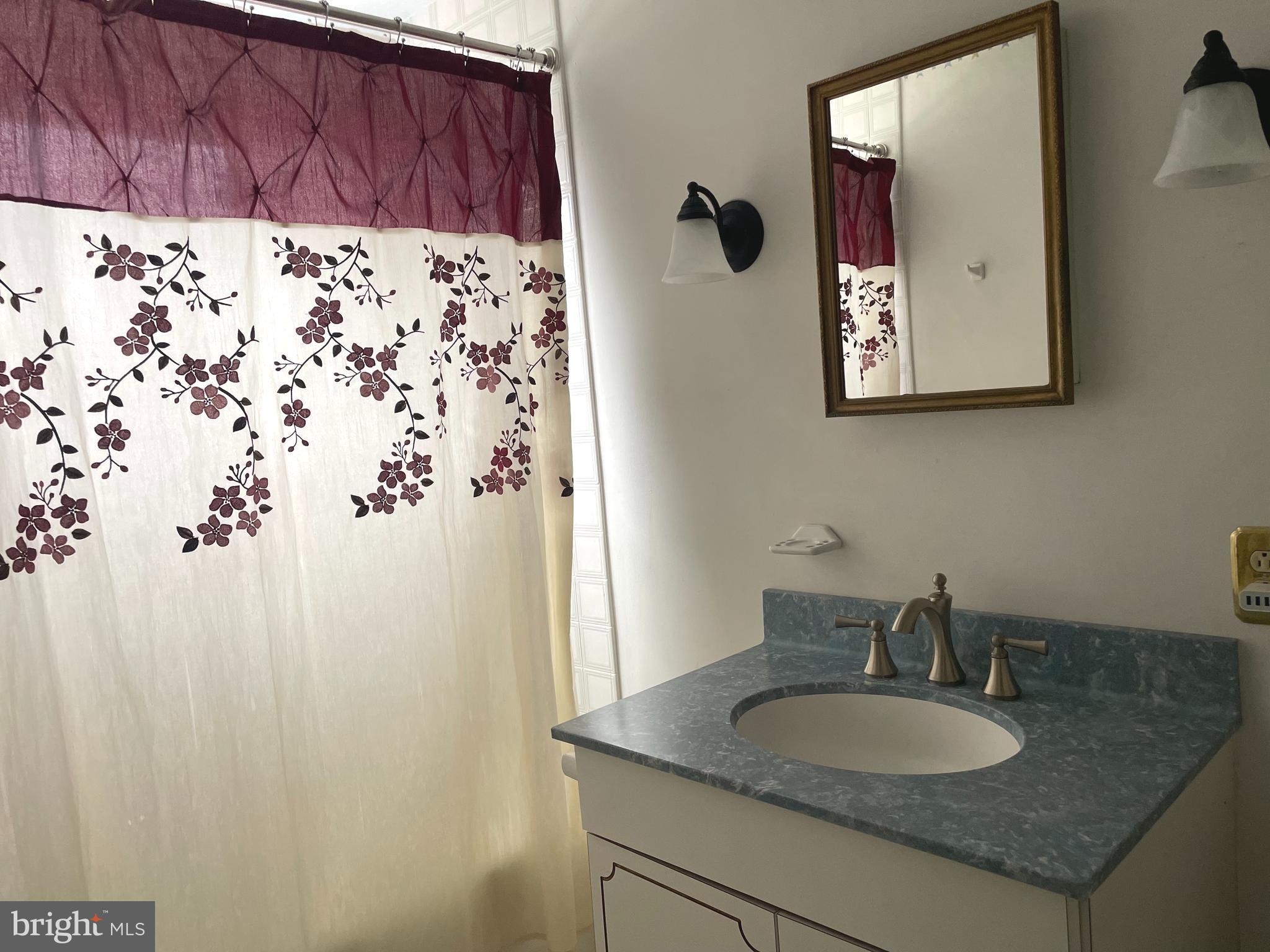 363 Valleybrook Road Glen Mills, PA 19342 - Photo 54 of 110 En Suite Bath #1